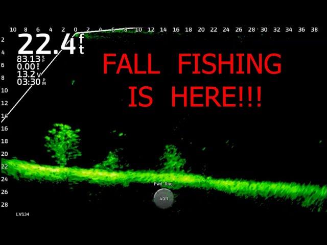 Fall Fishing Is Here!!!  (47 Catches In One Day)!!!   Full-Screen LiveScope Footage!!!  Trip #22