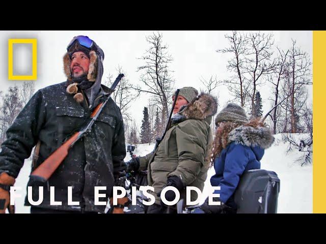 Big Wolf: The Brutal Winter (Full Episode) | Alaska: Next Generation