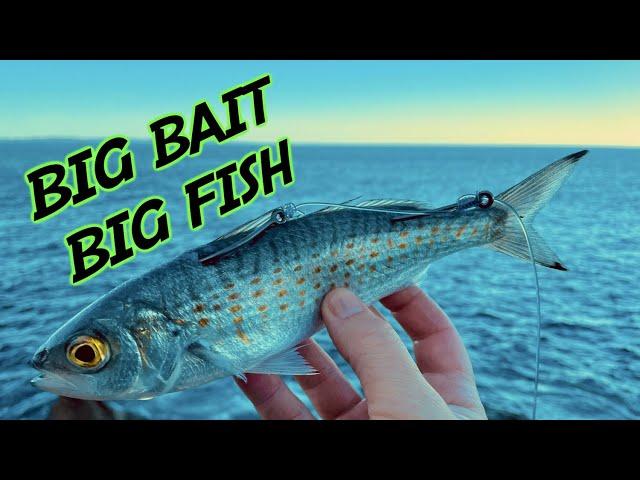 New Way Of Rock Fishing For Huge Fish