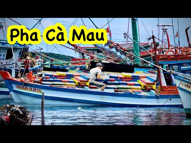 Mành Pha | 25 tấn Pha 2 đêm