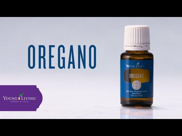 Oregano Essential Oil: Benefits & Uses | Young Living Essential Oils