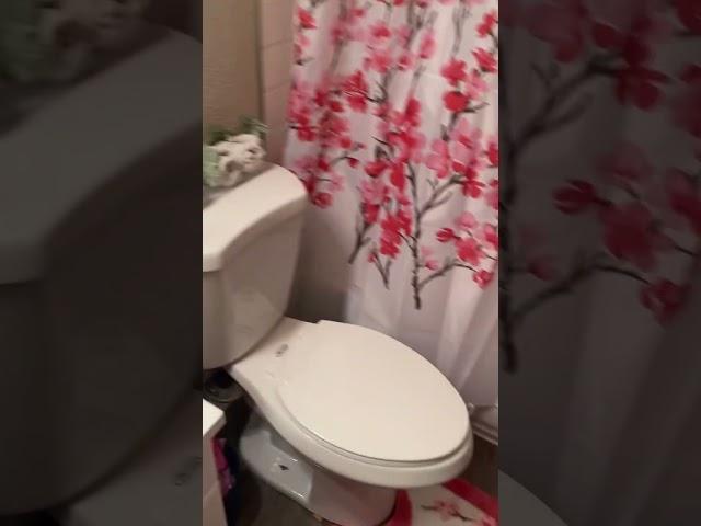New house my bathroom decor