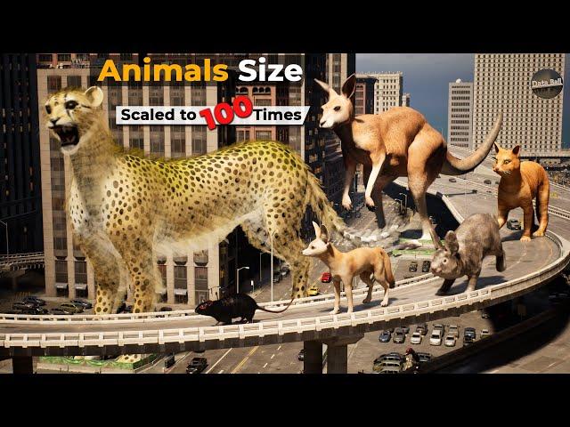 If Animals Size Increased to 100 Times| Imaginary Size Comparison Animals