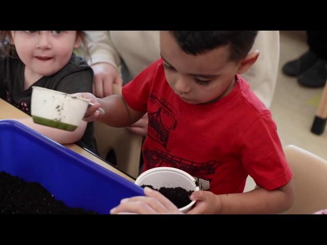 Fundacion MAPFRE 2019