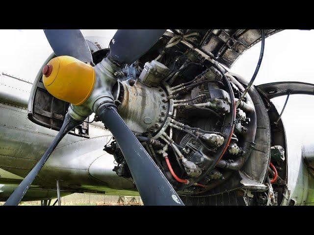 Big Old Shvetsov ASH-62 Engines COLD STARTING UP and COOL SOUND