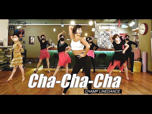 [라틴베이직반] ChaChaCha basic || 챔프라인댄스 CHAMP LineDance