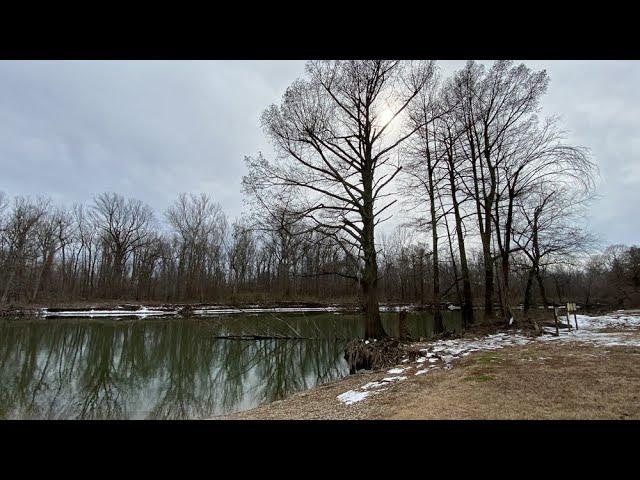 Wolf Bayou Unit of Black Island Conservation Area, Feb 4, 2023