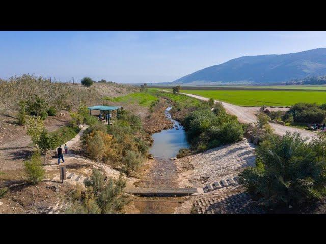 שביל נחל חרוד חורשת גדעון | יאיר צרפתי צילומי אוויר