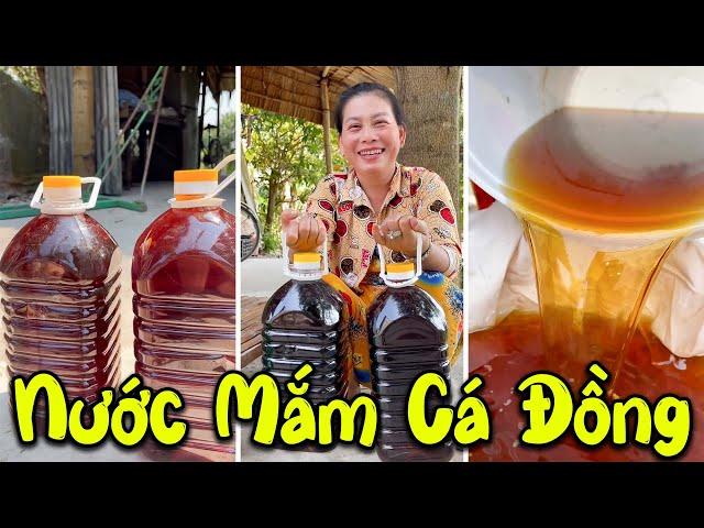 Cùng Mẹ Em Phúc Làm Mắm Cá Đồng Thơm Lừng Cả Xóm | Phúc Nhọn