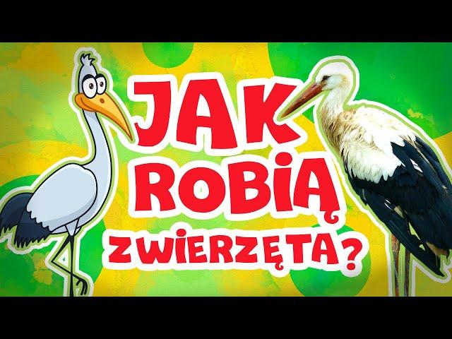 Jak robią zwierzęta? Odgłosy zwierząt || Bajki dla dzieci po polsku