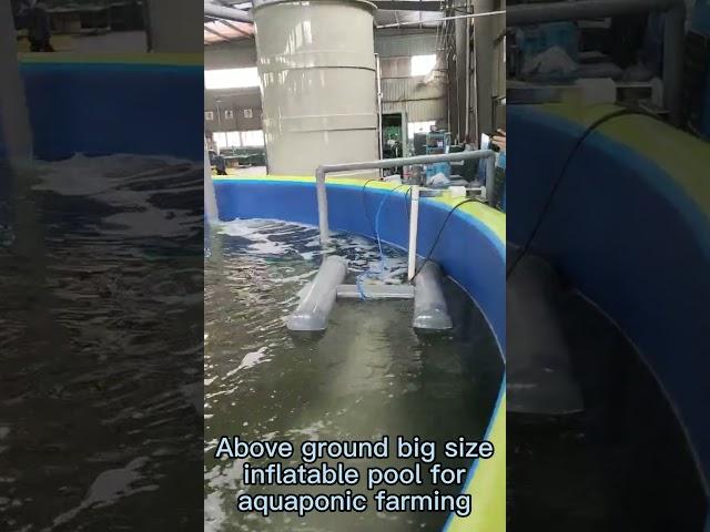 Above ground big size inflatable pool for aquaponic farming