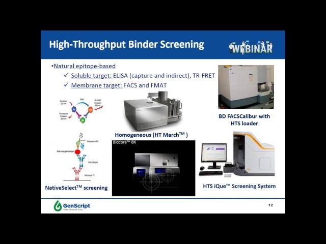 Integrated Antibody Drug Discovery Lead Generation, Characterization, and Optimization