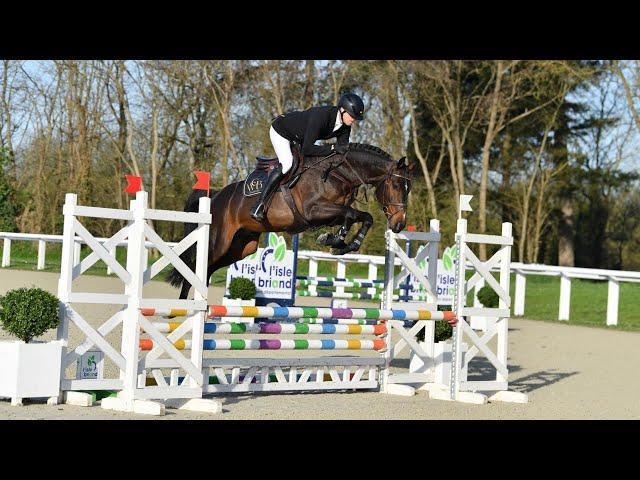 Commilf'oh - Stallion 2024