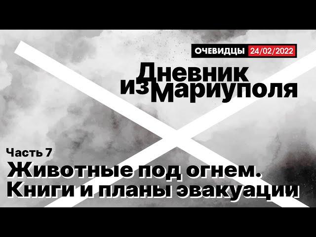 Дневник из Мариуполя. Часть 7. Животные под огнем. Книги и планы эвакуации