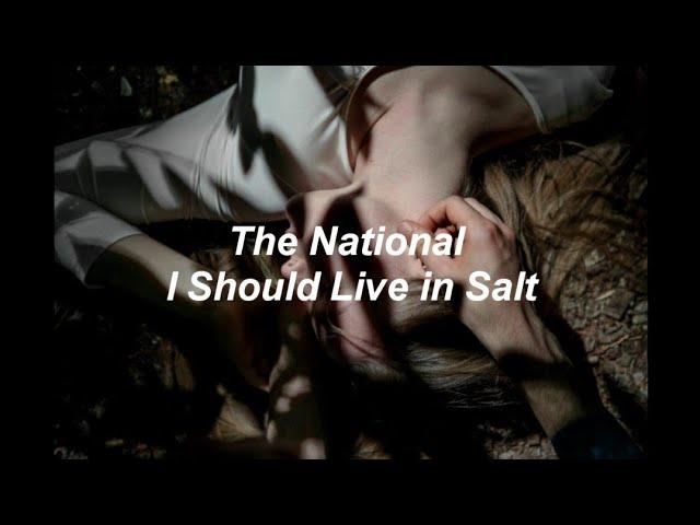 The National - I Should Live in Salt (Sub. Español)