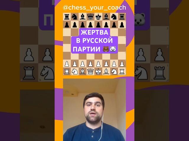 Жертва в русской партии | #шахматы