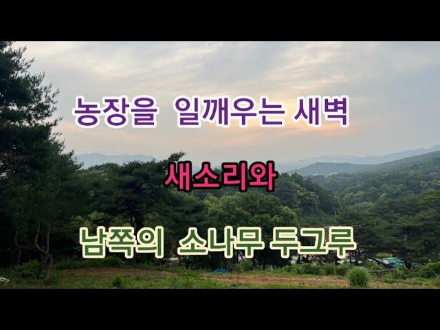 농장의 아침을 여는 아름다운 새소리들...