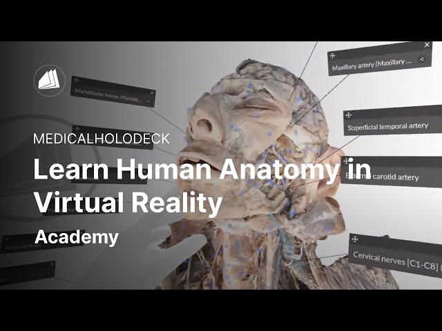 Learn Human Anatomy in Virtual Reality | Free Download