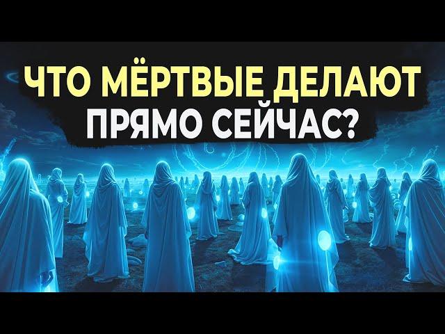 ЧТО МЁРТВЫЕ ЛЮДИ ДЕЛАЮТ ПРЯМО СЕЙЧАС? | Dawah Медиа