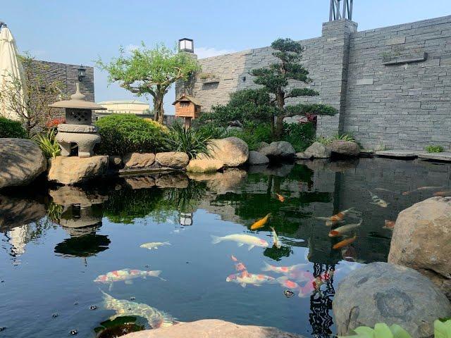 Enchanting rooftop oasis turns out to be an urban garden | KOJI LANDSCAPE