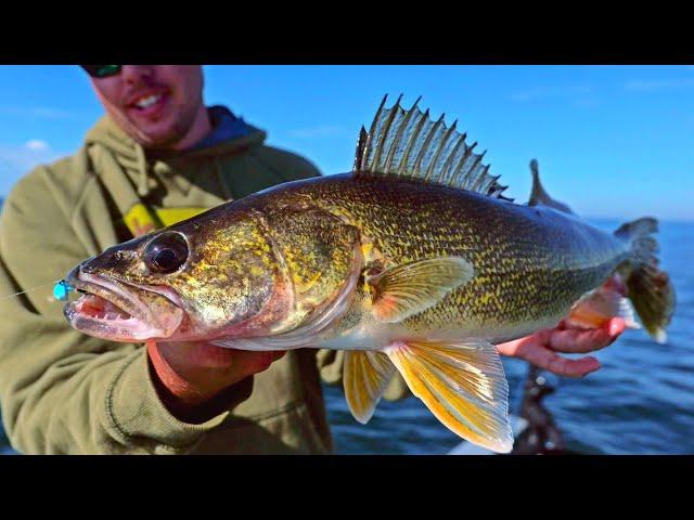 The BEST Walleye Blueprint (Catch fish when others can't....)