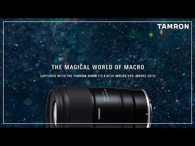 The Magical World of Macro - Captured with the TAMRON 90mm F/2.8 Di III Macro VXD (Model F072)