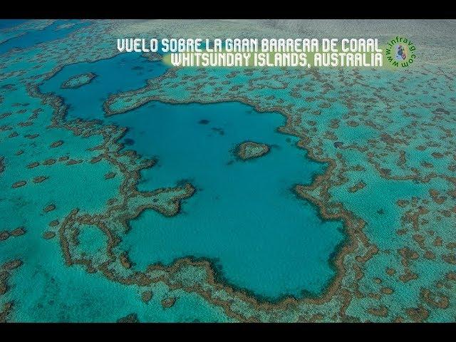 Australia 2018: Gran Barrera de Coral en Whitsunday Islands