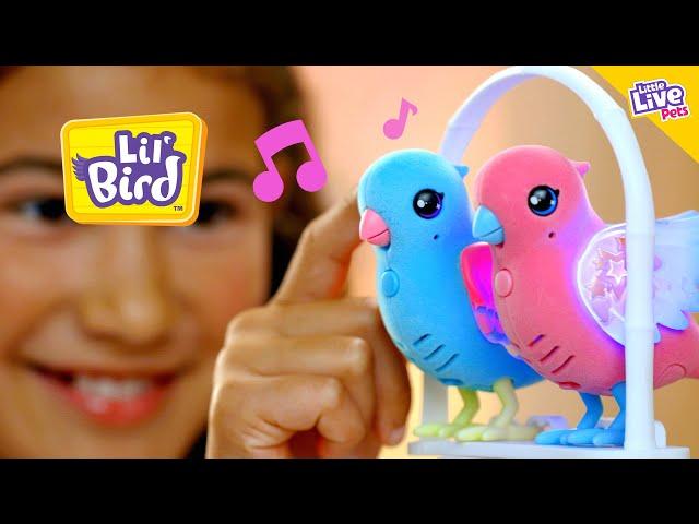 Little Live Pets | Lil Bird | TVC 15