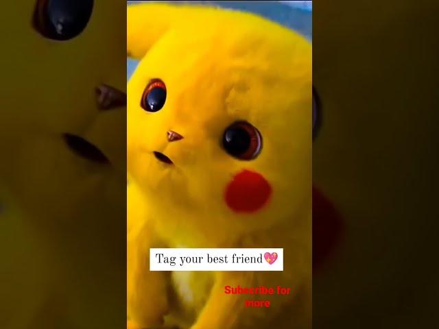 pika p pikachu funny