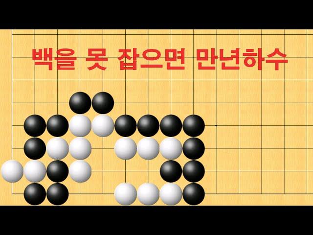 바둑 묘수 사활 - 백을 못 잡으면 만년하수에서 벗어 날 수 없습니다