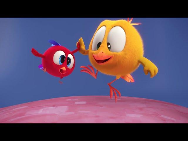 Chicky & Friends | Where's Chicky? | Cartoon Collection in English for Kids | New episodes HD