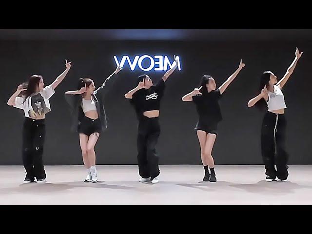 MEOVV - 'MEOW' Dance Practice [MIRRORED]