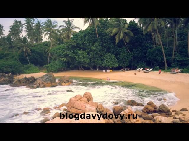 Пляж Сикрет бич, Мириса(Secret beach, Mirissa) февраль 2015, Шри-Ланка (Sri Lanka)