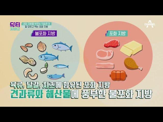 내장 지방 부르는 식습관은 포화 지방 탓?! | TV 주치의 닥터 지.바.고 276 회