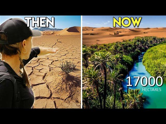 How This Woman Has Restored Dry Desert Rivers Into Green Oasis Flowing With Water Forever!