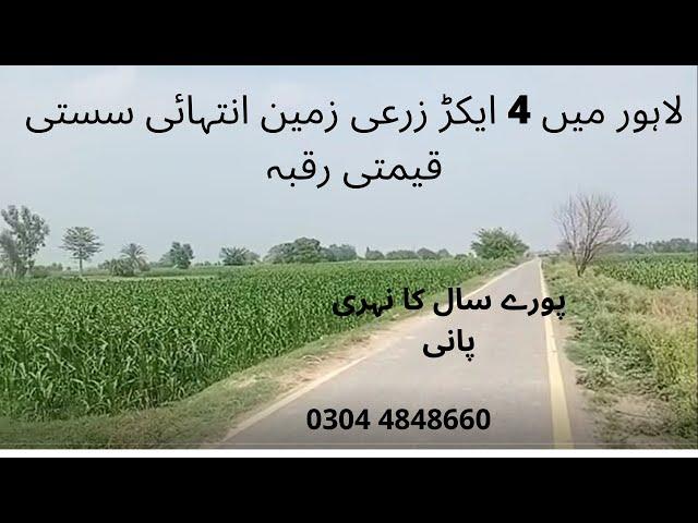 4 Acre Plot/Agricultural/Raqba/Land for sale in Lahore cheap Raqba, land  #sastizameen #raqba #plot