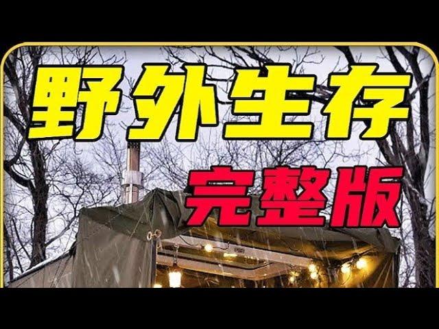 第9集 | 谁能拒绝在失眠的时候刷上一集解压的雪天露营 #野外生存 #野外建造 #雪天露营 #露营 #解压