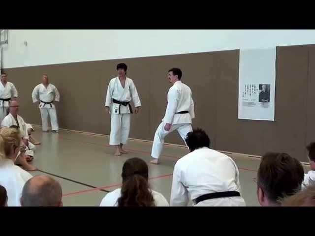 Sensei Tatsuya Naka - Kata Meikyo