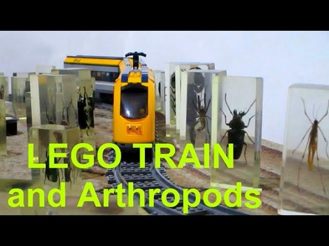 LEGO passenger Train 60197 and Arthropods