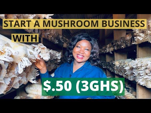 How to Start and Grow a Successful Mushroom Business with less than $1