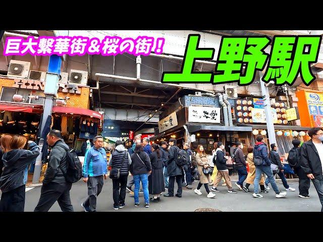 【4K60】上野駅周辺を散策！東京都台東区(Japan Walking around Ueno Station)