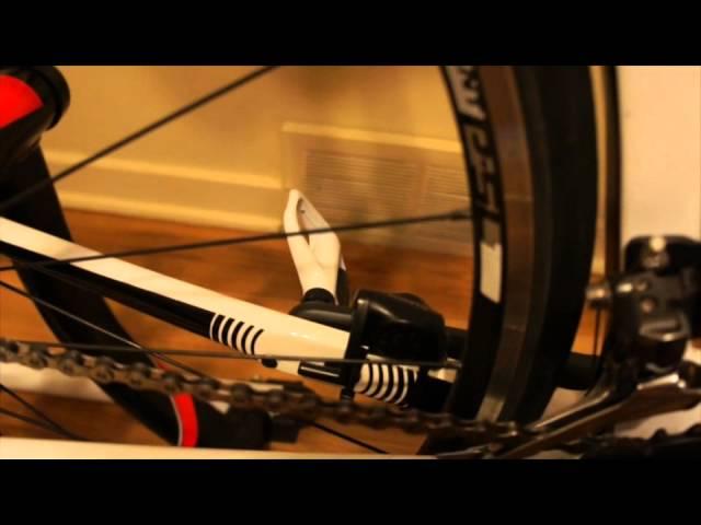 Giant TCR Review