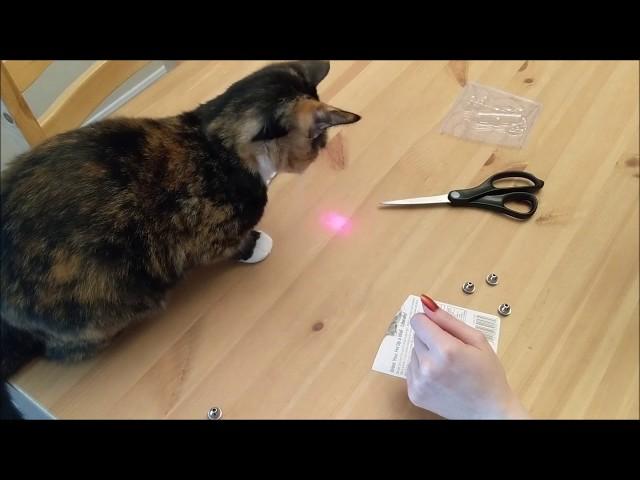 Laser Pointer Cat Toy Review!!!