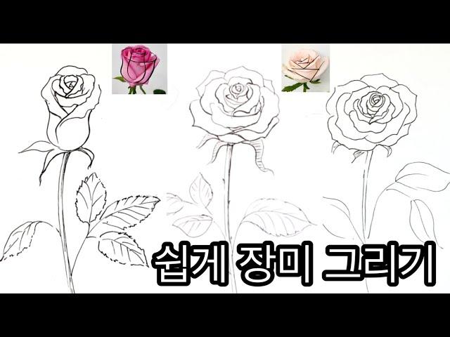 장미 그리기 / 쉽게 장미꽃 스케치하는  방법  / 꽃 잘 그리기 /How to draw rose