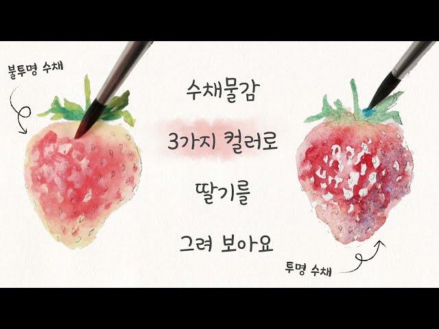 투명 수채와 불투명 수채로 딸기 그리는 법 【홀베인 공식】