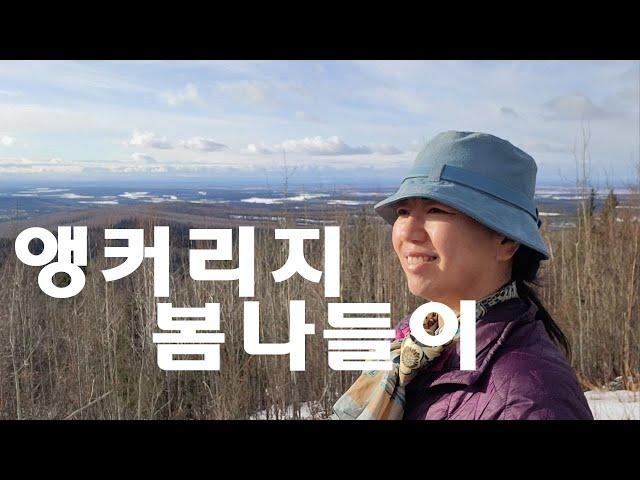 소소하지만 확실한 행복! 알래스카에서 가장 큰 도시 앵커리지로 봄바람 쏘이고 왔습니다. #alaska #anchorage #봄나들이