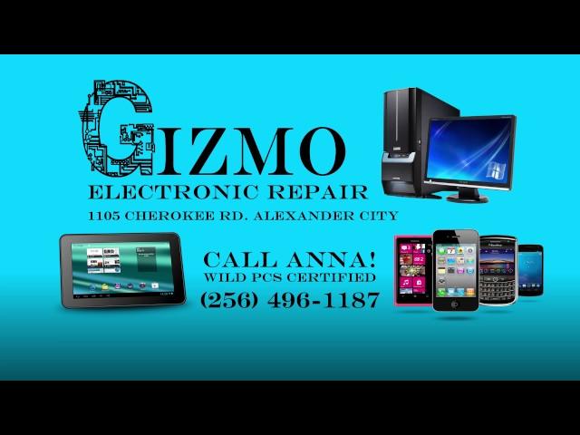 Gizmo Electronic Repair080317