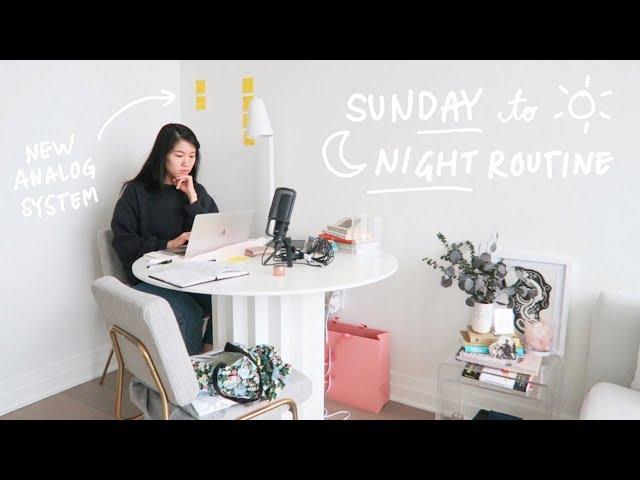 sunday: morning to night routine | new productivity system (sticky notes), gym, food w/ friends