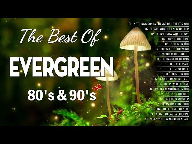 Greatest Relaxing Love Songs 80's 90's  The Most Romantic Evergreen Songs Of All Time Playlist