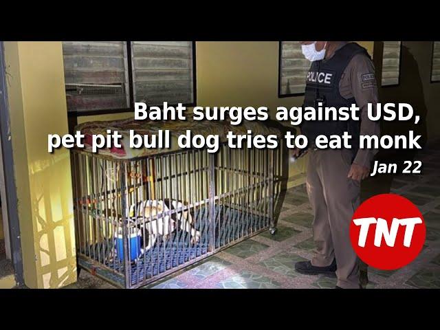 Thai Baht surges against USD, pet pit bull dog tries to eat monk - Jan 22